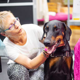 Photo du salon 2023 par Julia Pommé Photographe.