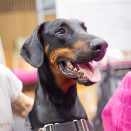 Photo du salon 2023 par Julia Pommé Photographe.