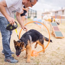 Photo du salon 2023 par Julia Pommé Photographe.