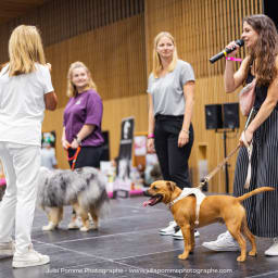 Photo du salon 2023 par Julia Pommé Photographe.