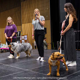 Photo du salon 2023 par Julia Pommé Photographe.