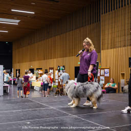Photo du salon 2023 par Julia Pommé Photographe.