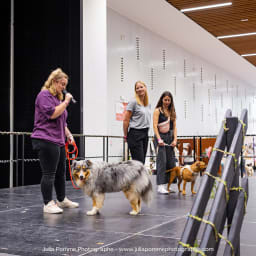 Photo du salon 2023 par Julia Pommé Photographe.