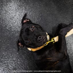 Photo du salon 2023 par Julia Pommé Photographe.