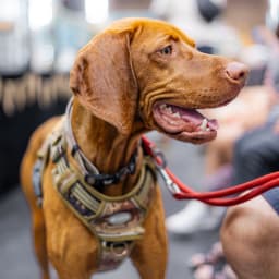 Photo du salon 2023 par Julia Pommé Photographe.
