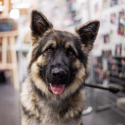 Photo du salon 2023 par Julia Pommé Photographe.