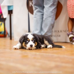 Photo du salon 2023 par Julia Pommé Photographe.