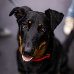 Photo du salon 2023 par Julia Pommé Photographe.