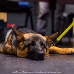 Photo du salon 2023 par Julia Pommé Photographe.