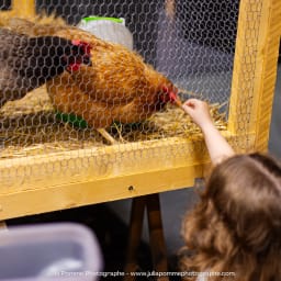 Photo du salon 2023 par Julia Pommé Photographe.