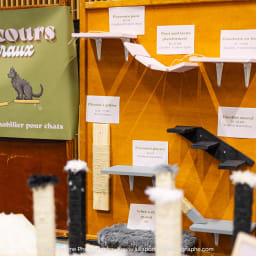 Photo du salon 2023 par Julia Pommé Photographe.