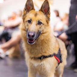 Photo du salon 2023 par Julia Pommé Photographe.