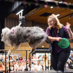 Photo du salon 2023 par Julia Pommé Photographe.