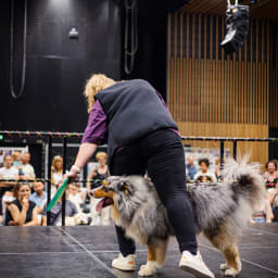 Photo du salon 2023 par Julia Pommé Photographe.