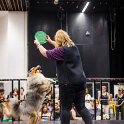 Photo du salon 2023 par Julia Pommé Photographe.