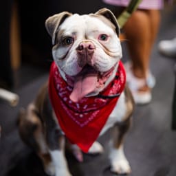 Photo du salon 2023 par Julia Pommé Photographe.