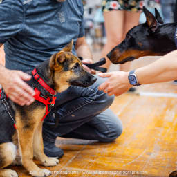 Photo du salon 2023 par Julia Pommé Photographe.