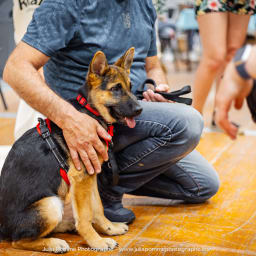 Photo du salon 2023 par Julia Pommé Photographe.