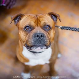 Photo du salon 2023 par Julia Pommé Photographe.