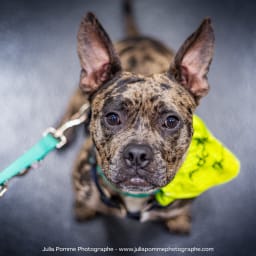 Photo du salon 2023 par Julia Pommé Photographe.