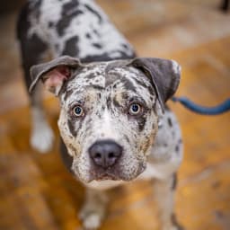 Photo du salon 2023 par Julia Pommé Photographe.