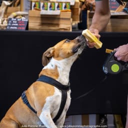 Photo du salon 2023 par Julia Pommé Photographe.