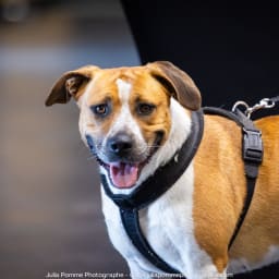 Photo du salon 2023 par Julia Pommé Photographe.