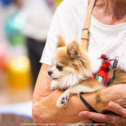 Photo du salon 2023 par Julia Pommé Photographe.