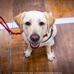 Photo du salon 2023 par Julia Pommé Photographe.