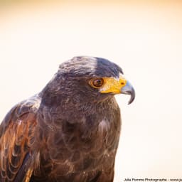 Photo du salon 2023 par Julia Pommé Photographe.