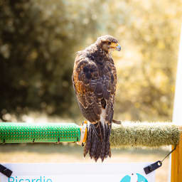 Photo du salon 2023 par Julia Pommé Photographe.