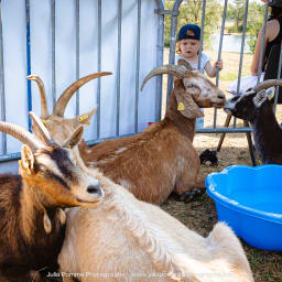 Photo du salon 2023 par Julia Pommé Photographe.