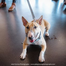 Photo du salon 2023 par Julia Pommé Photographe.