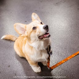 Photo du salon 2023 par Julia Pommé Photographe.