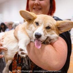 Photo du salon 2023 par Julia Pommé Photographe.
