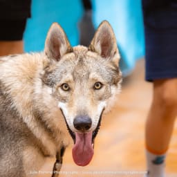 Photo du salon 2023 par Julia Pommé Photographe.