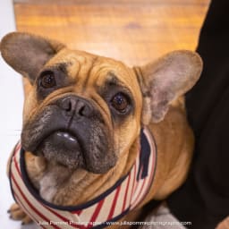 Photo du salon 2023 par Julia Pommé Photographe.