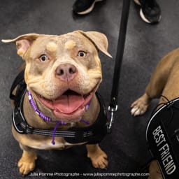 Photo du salon 2023 par Julia Pommé Photographe.