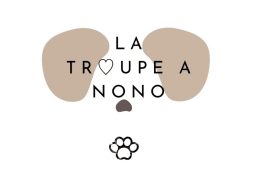LA TROUPE A NONO