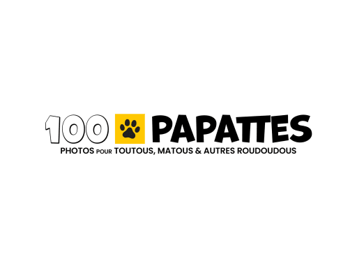 100 PAPATTES