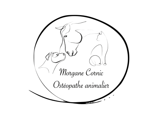 MORGANE CORNIC - OSTEOPATHE ANIMALIER