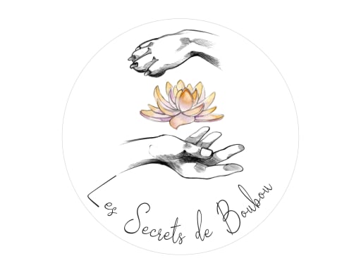 Les Secrets de Boubou