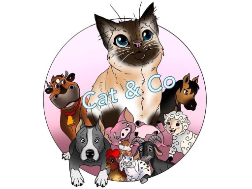 Association cat and co