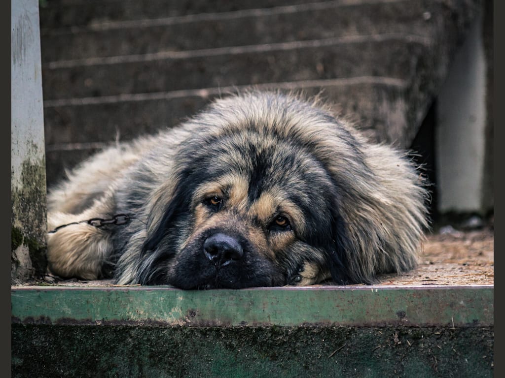 Informer d’un acte de maltraitance