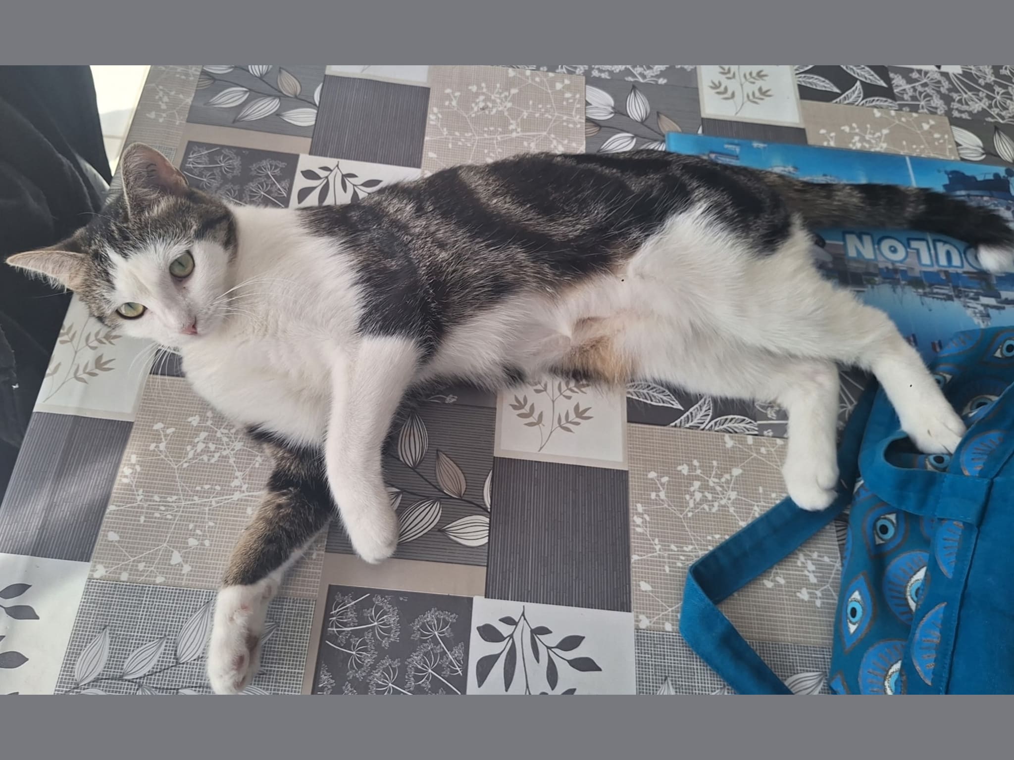 Photo 1 de Félicité