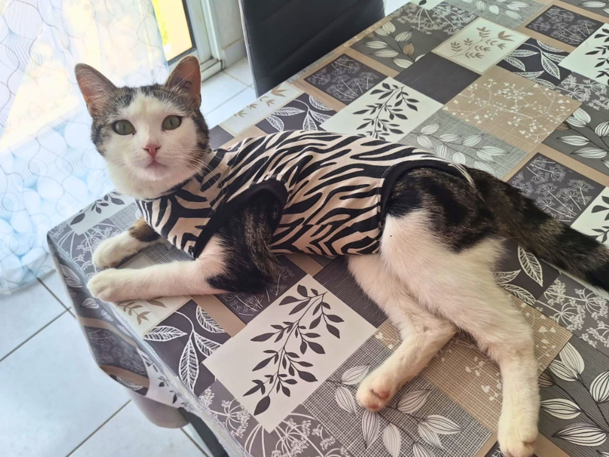 Photo 1 de Félicité