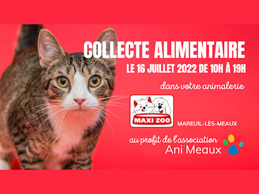 Collecte alimentaire