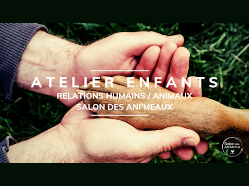 Atelier Enfants : Relations Humains / Animaux