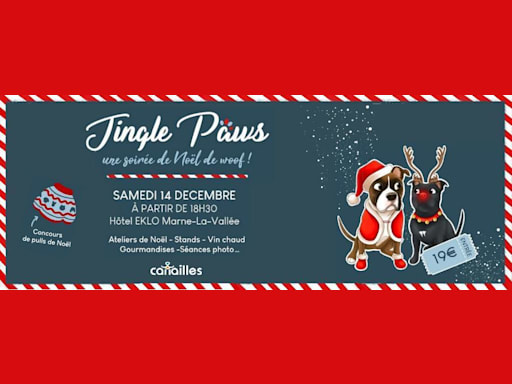 Soirée de Noël 🎄