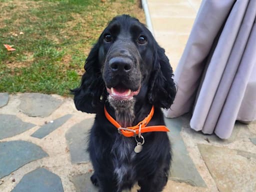 Milo